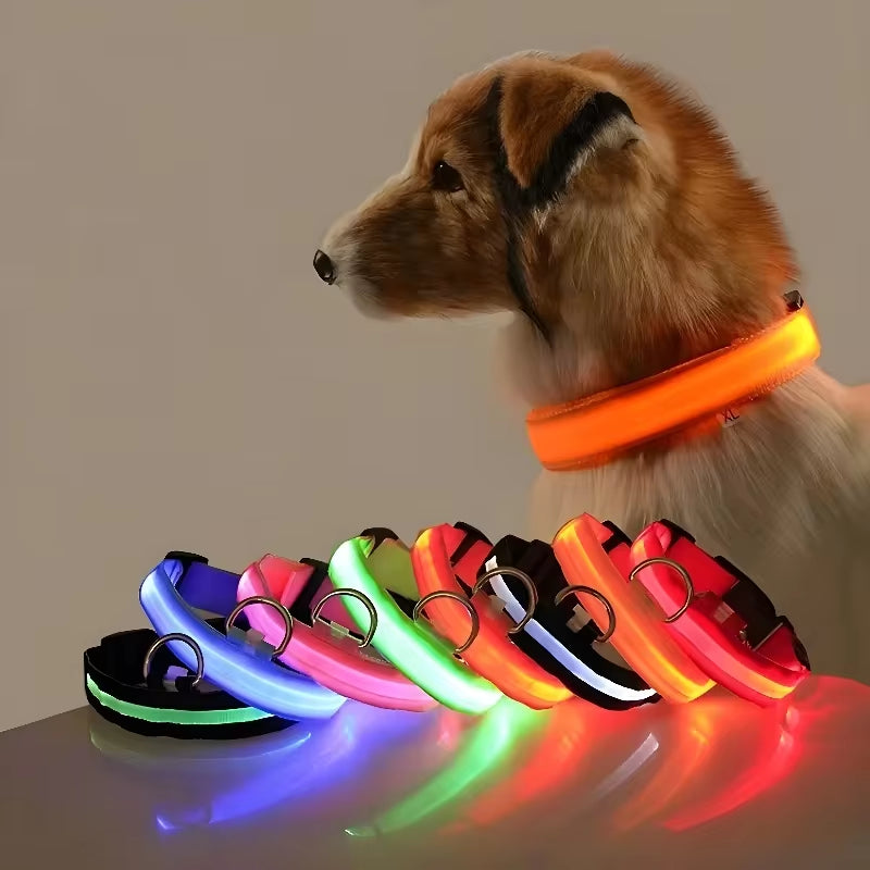 LuzPatitas  – Collar para paseos nocturnos con total seguridad