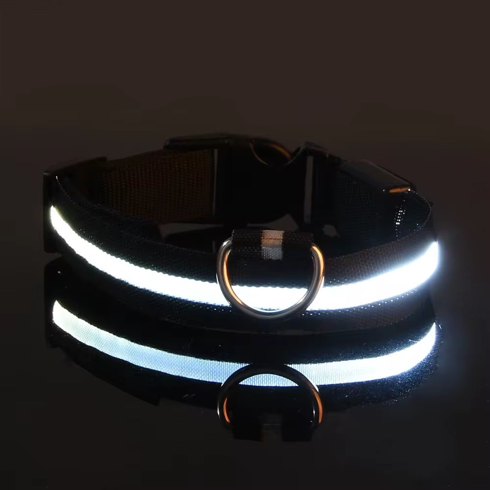 LuzPatitas  – Collar para paseos nocturnos con total seguridad